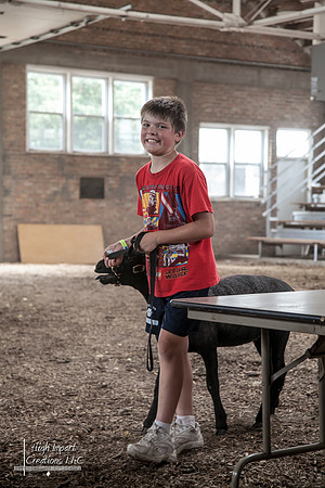 Janesville Photographers Rock County 4-H Fair Photographs