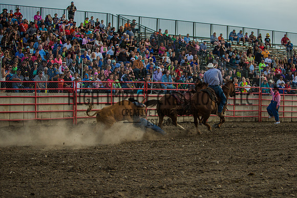 Big Hat Rodeo | Grayslake Rodeo | Lake County Fair