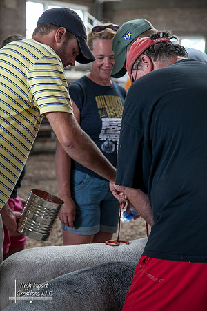 Janesville Photographers Rock County 4-H Fair Photographs
