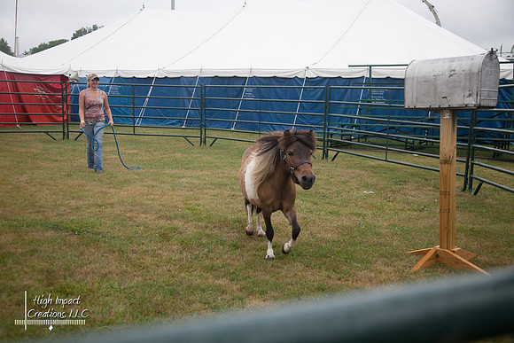 Janesville Photographers Rock County 4-H Fair Photographs