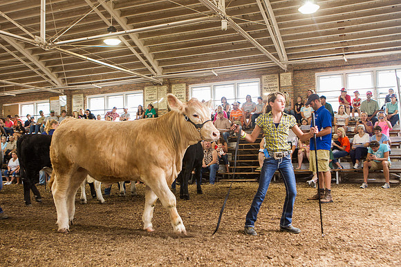 Photograph of Rock County 4-H Fair Taken 7-26-12