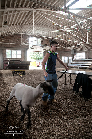 Janesville Photographers Rock County 4-H Fair Photographs