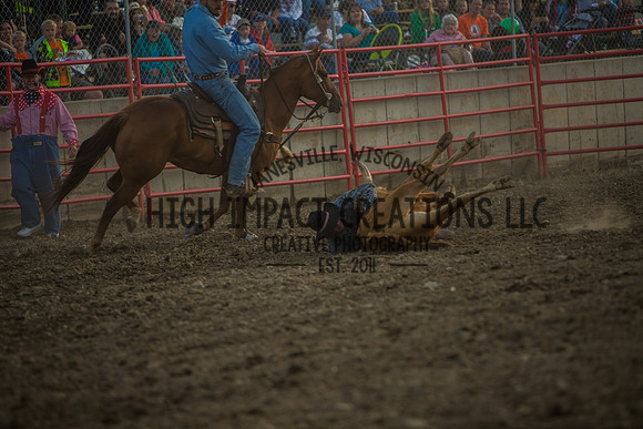 Big Hat Rodeo | Grayslake Rodeo | Lake County Fair