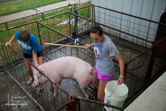 Janesville Photographers Rock County 4-H Fair Photographs