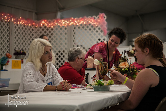 Janesville Photographers Rock County 4-H Fair Photographs