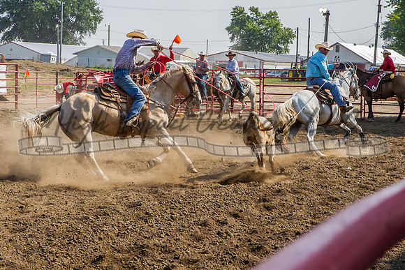 Mendota15-9568