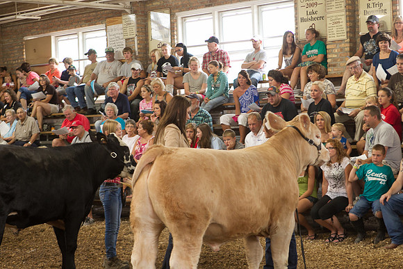 Photograph of Rock County 4-H Fair Taken 7-26-12