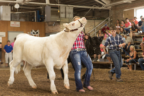 Photograph of Rock County 4-H Fair Taken 7-26-12