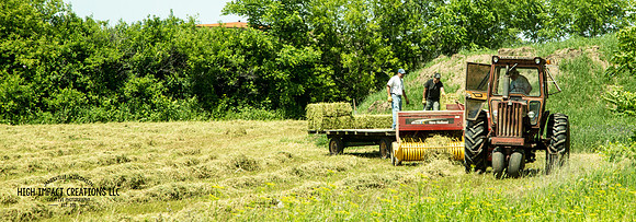 Picture a Day #139, 6-14-14 | Janesville Photographer