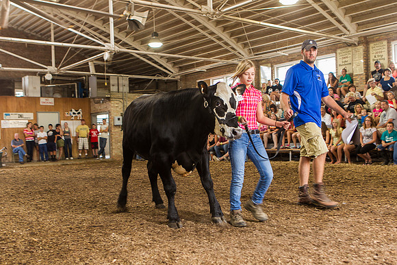 Photograph of Rock County 4-H Fair Taken 7-26-12