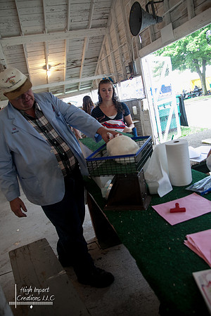 Janesville Photographers Rock County 4-H Fair Photographs