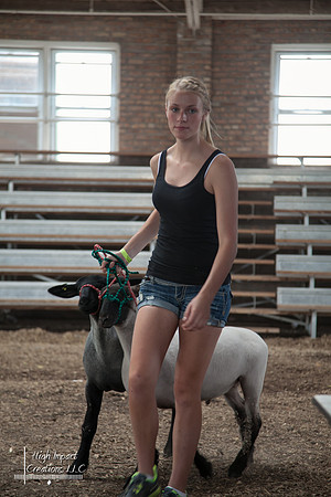 Janesville Photographers Rock County 4-H Fair Photographs