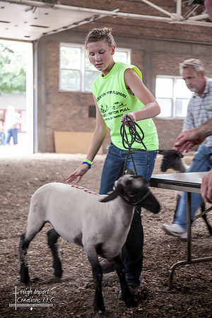 Janesville Photographers Rock County 4-H Fair Photographs