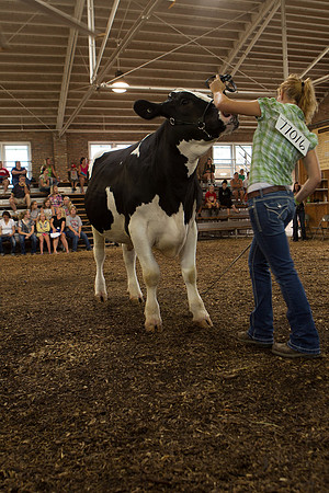 Photograph of Rock County 4-H Fair Taken 7-26-12