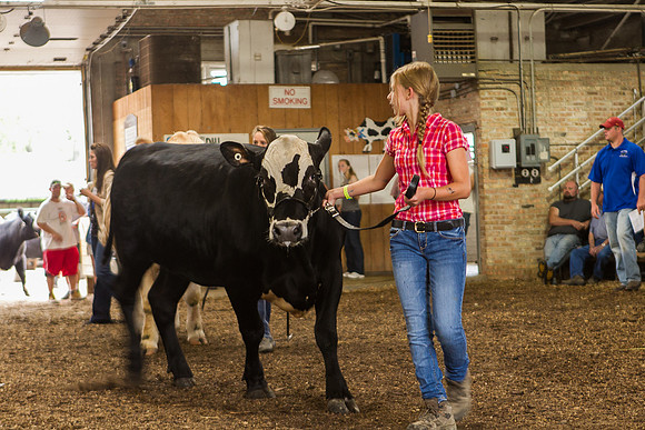 Photograph of Rock County 4-H Fair Taken 7-26-12