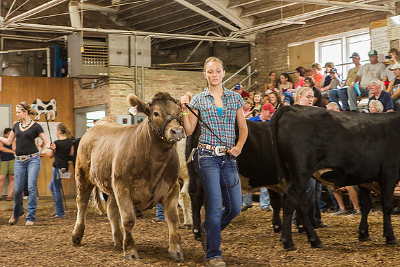 Photograph of Rock County 4-H Fair Taken 7-26-12