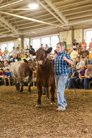 Photograph of Rock County 4-H Fair Taken 7-26-12