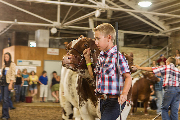 Photograph of Rock County 4-H Fair Taken 7-26-12