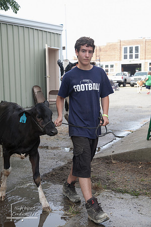 Janesville Photographers Rock County 4-H Fair Photographs