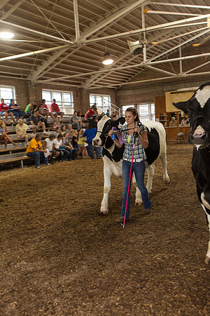 Photograph of Rock County 4-H Fair Taken 7-26-12