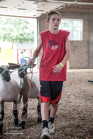 Janesville Photographers Rock County 4-H Fair Photographs