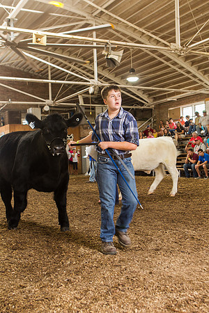 Photograph of Rock County 4-H Fair Taken 7-26-12