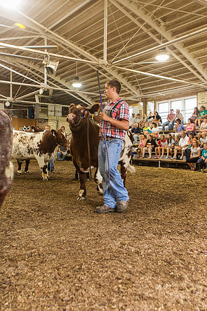 Photograph of Rock County 4-H Fair Taken 7-26-12
