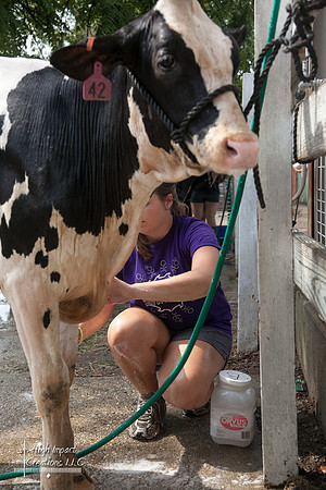 Janesville Photographers Rock County 4-H Fair Photographs